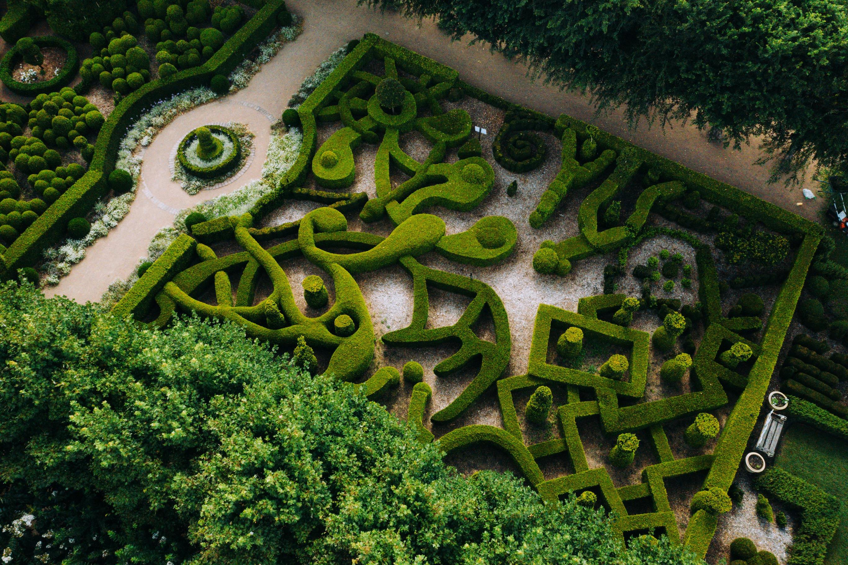 Featuring several buxus varieties