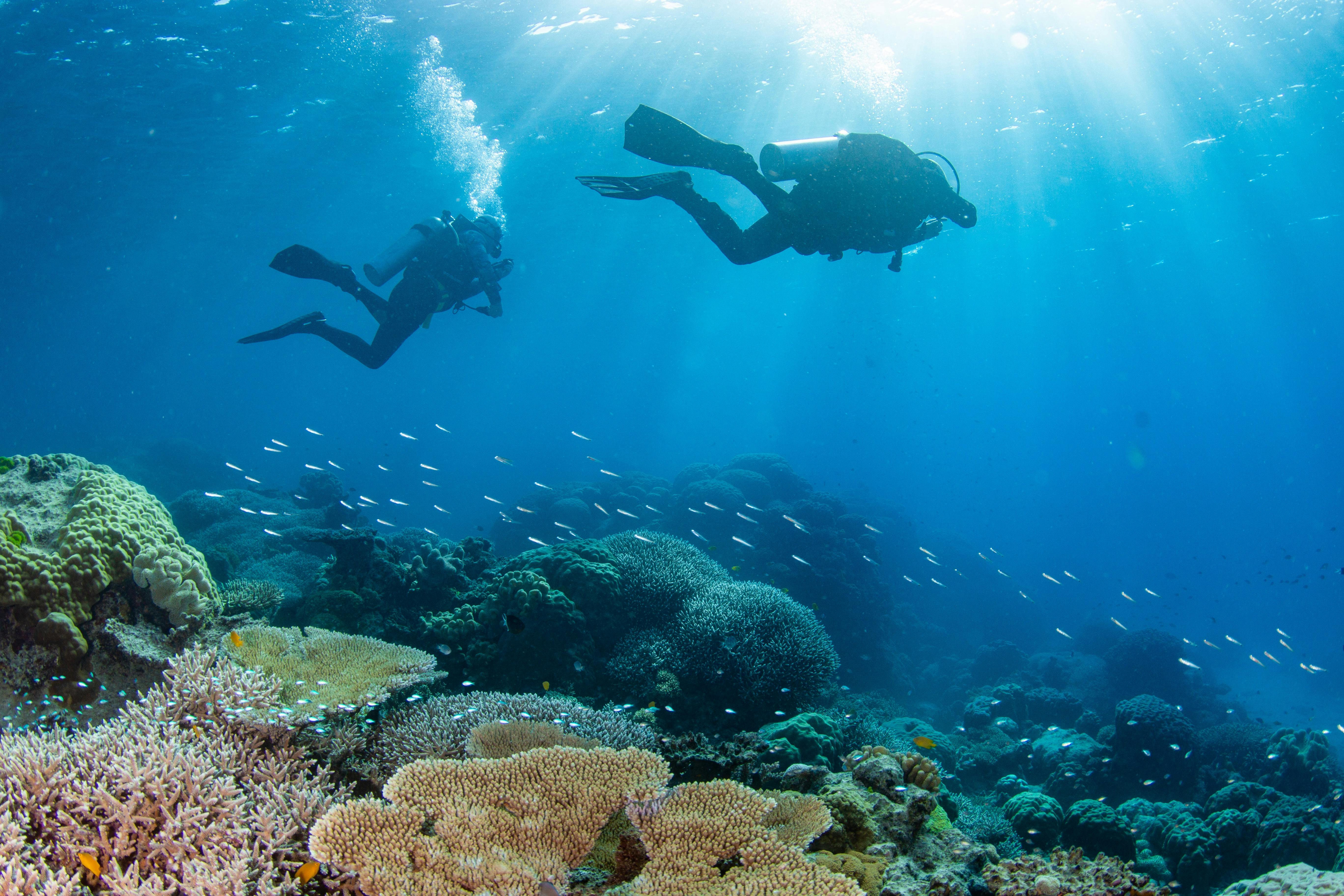 Scuba Experience