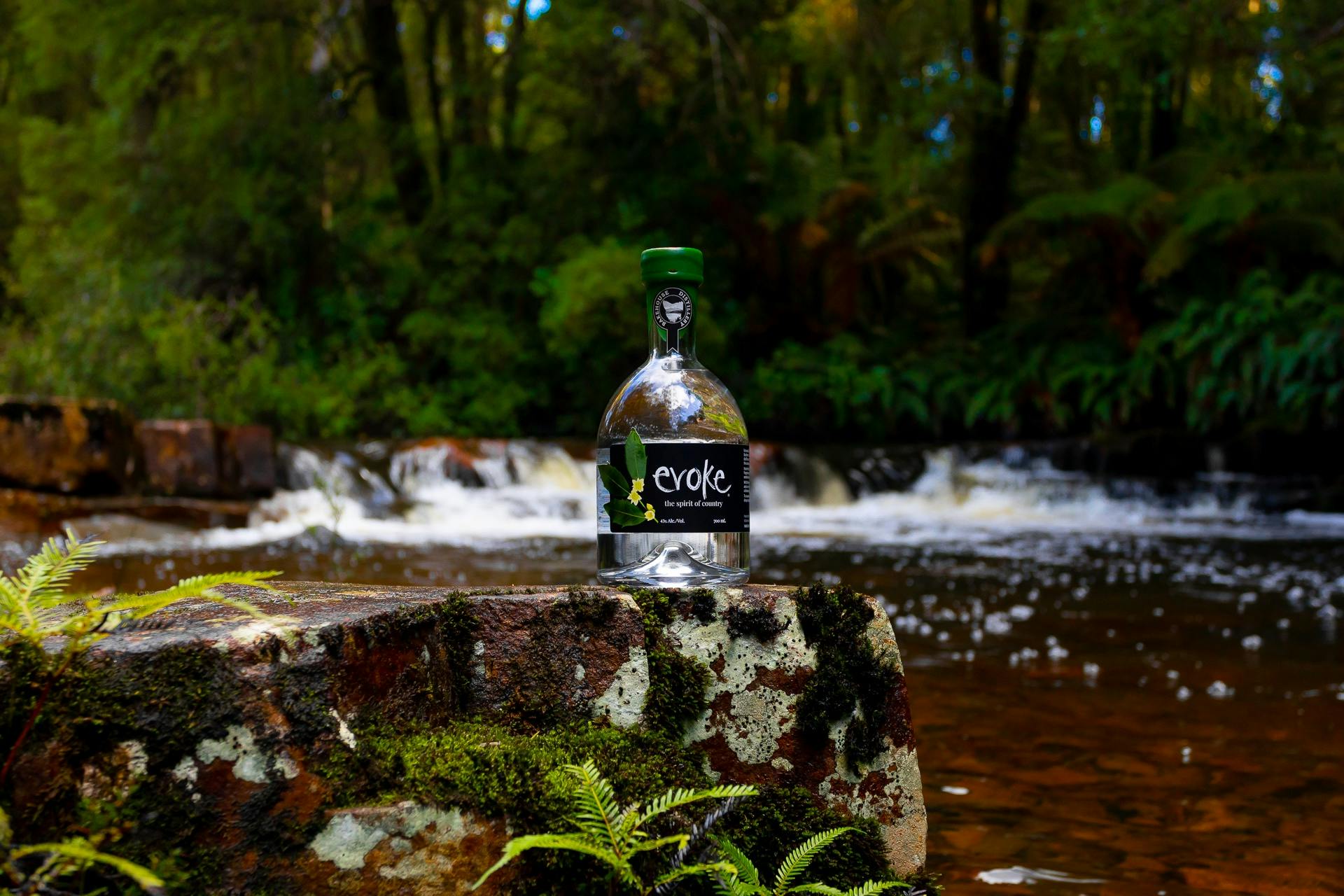 From the heart of the cool temperate rainforests of lutruwita,  essentially sassafras