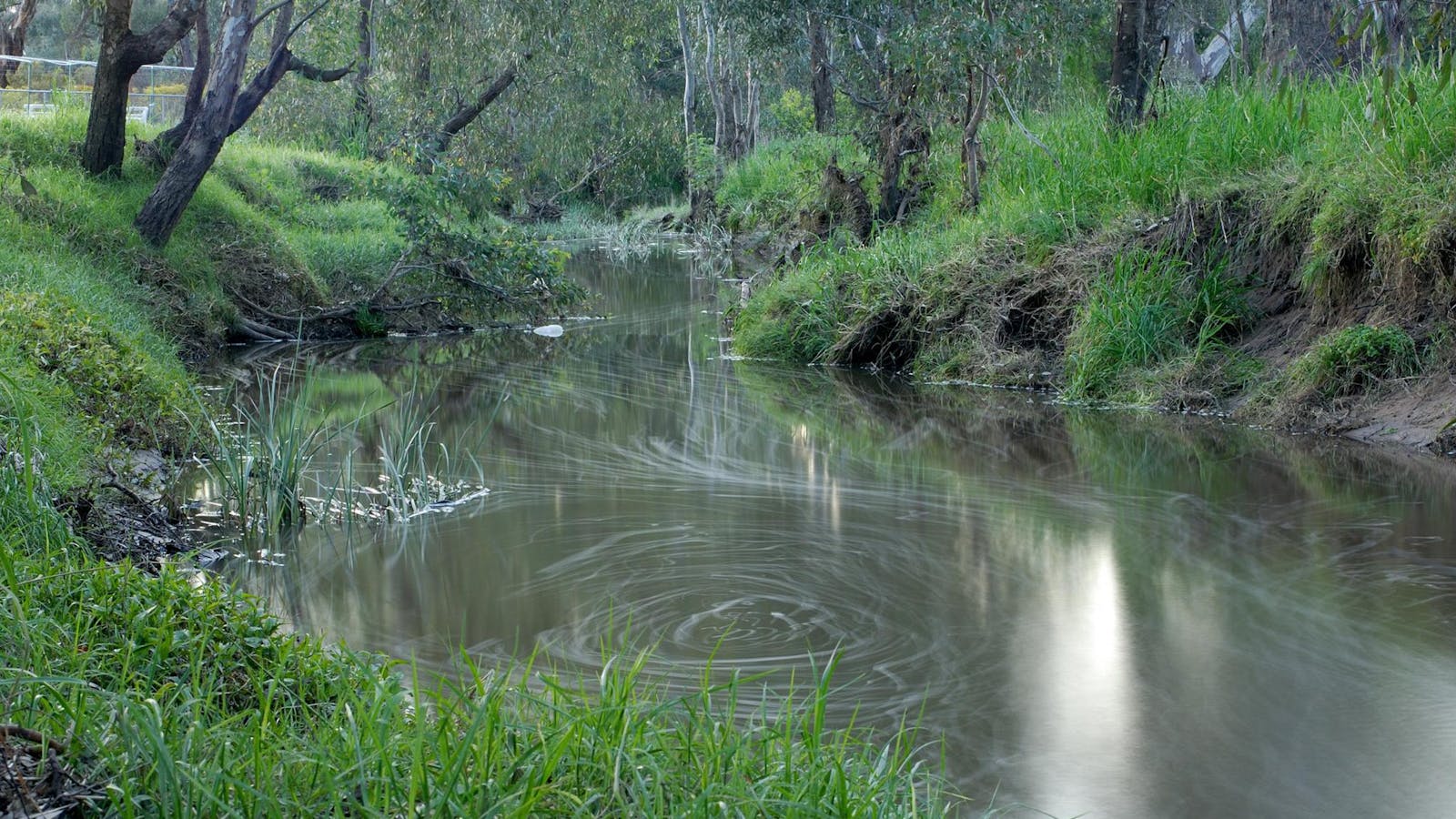 Honeysuckle Creek Walking Track