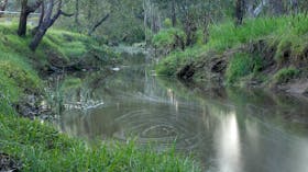 Honeysuckle Creek Walking Track