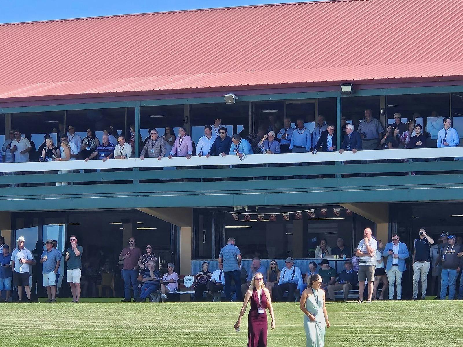 Millicent Cup crowd