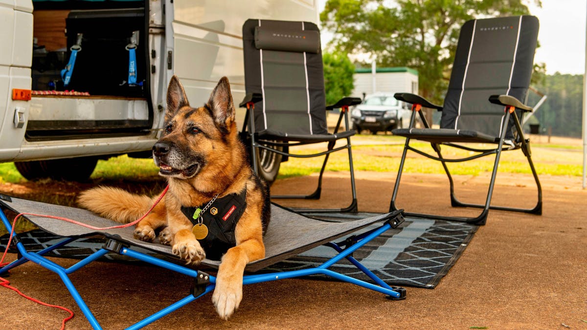 German Shepherd dog relaxing beside a campervan at a pet friendly site at Yarraman Caravan Park
