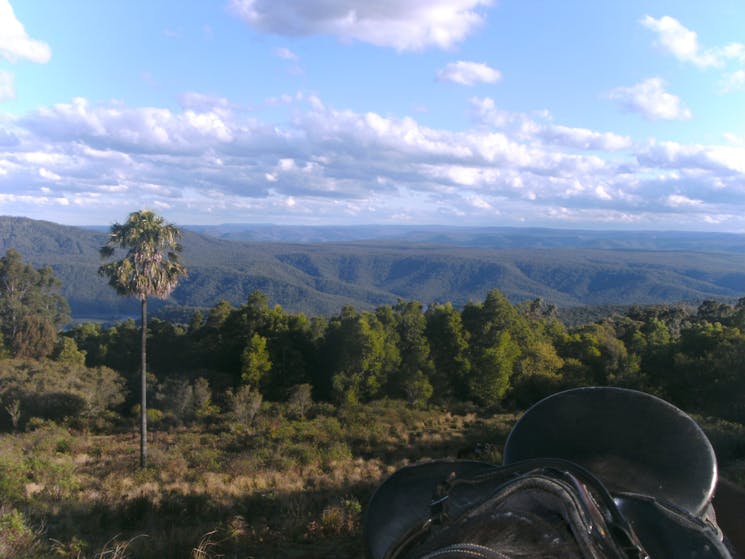 Kangaroo Valley Horseriding