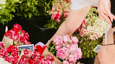 A person reaches down to grab a bunch of pink flowers
