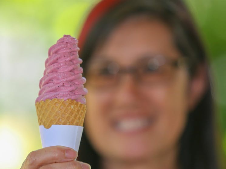 Woman holding a Berry Icecream