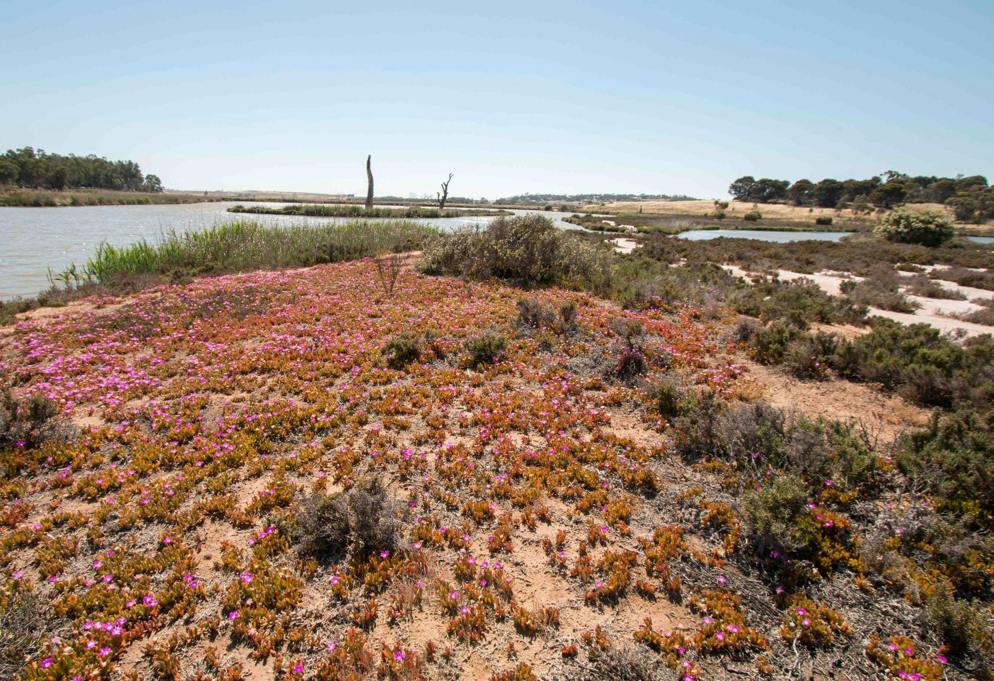 Rocky Gully Wetlands