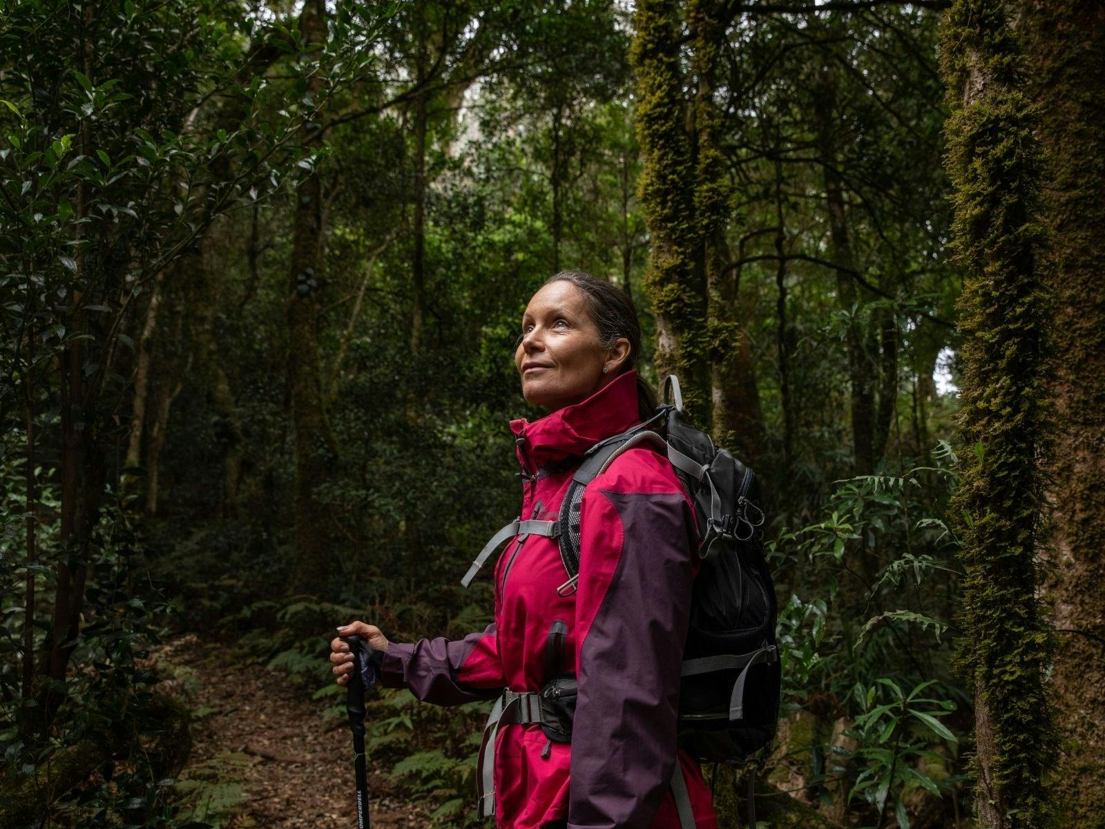 Scenic Rim Trail