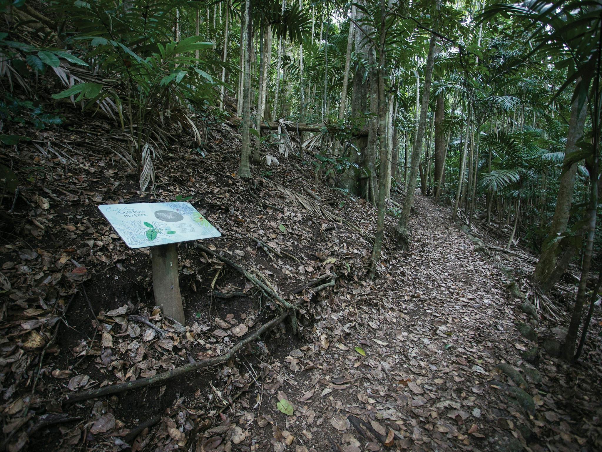Hike Cape Hillsborough