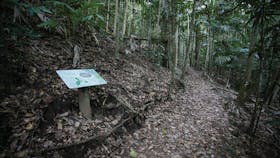 Hike Cape Hillsborough