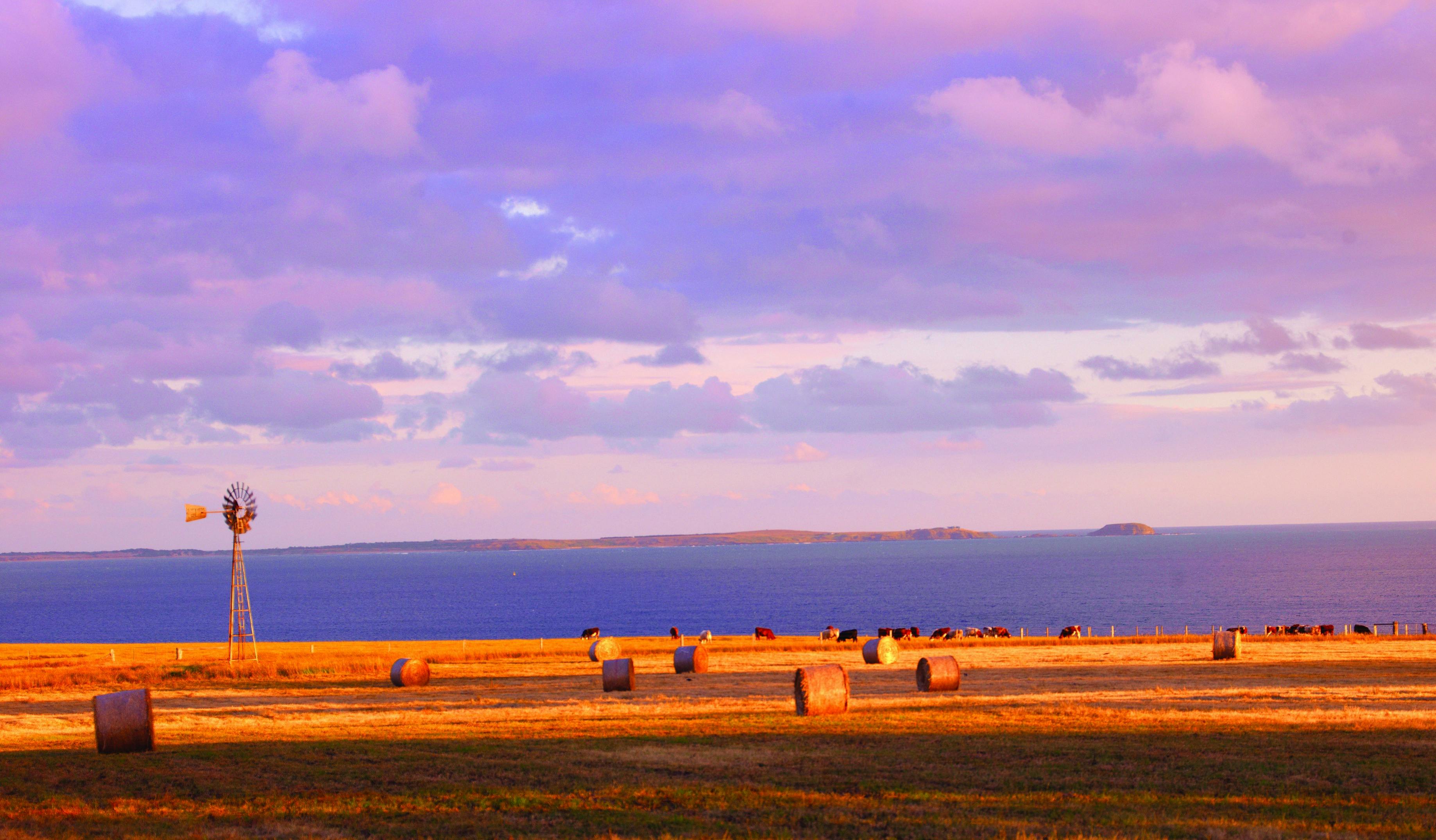 Westernport Bay, Mornington Peninsula