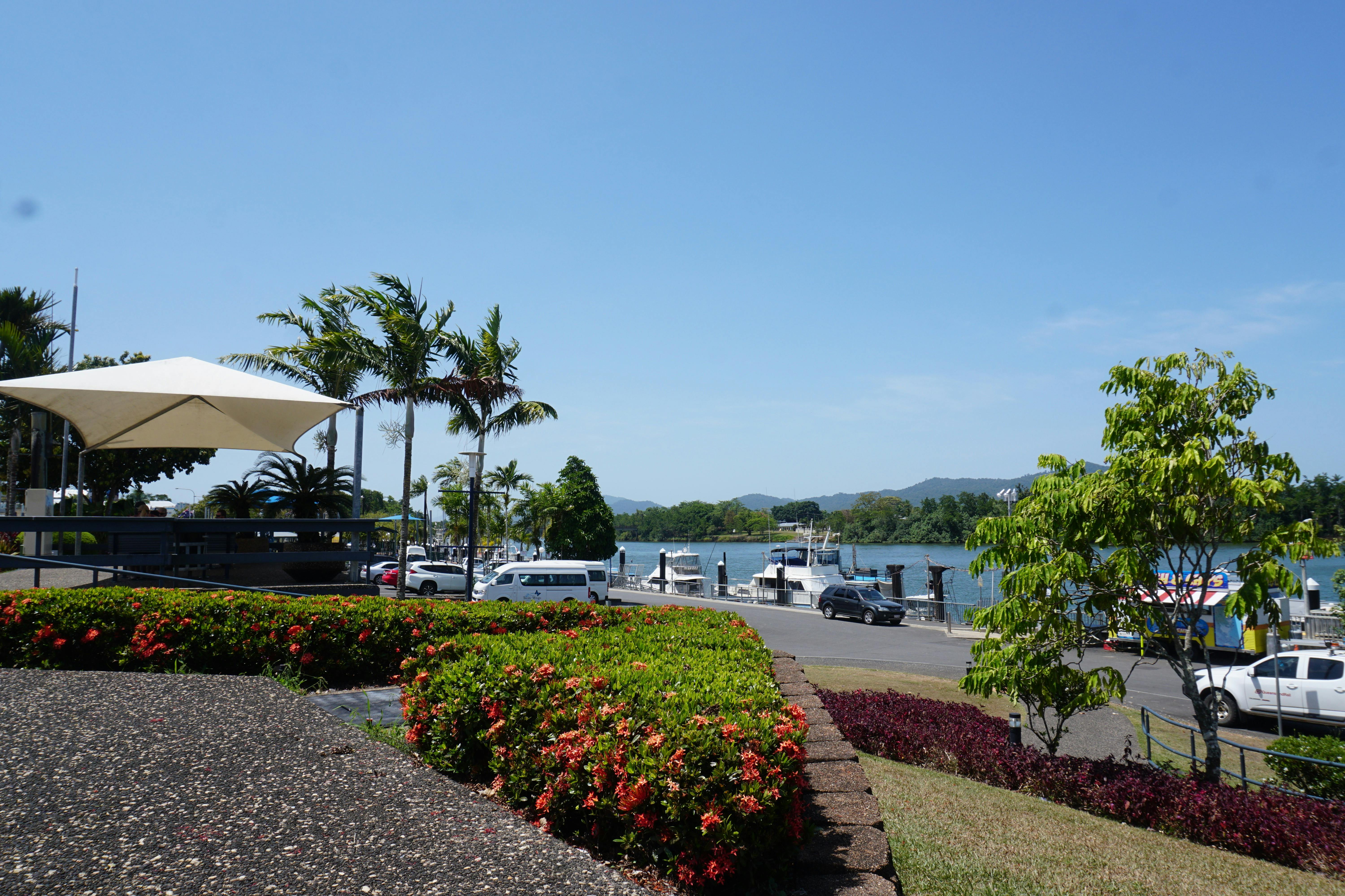 Cancutter Court Fitzgerald Esplanade Tropical North Queensland Cairns