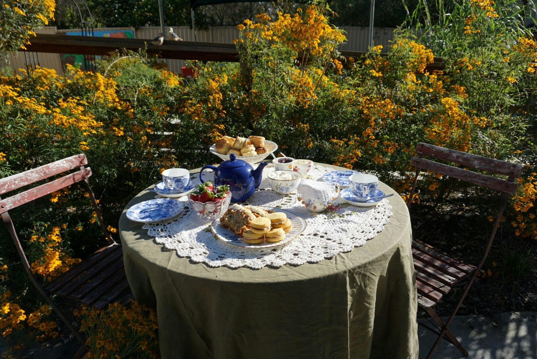 Table with morning tea outside at the Rosewood Ramble event