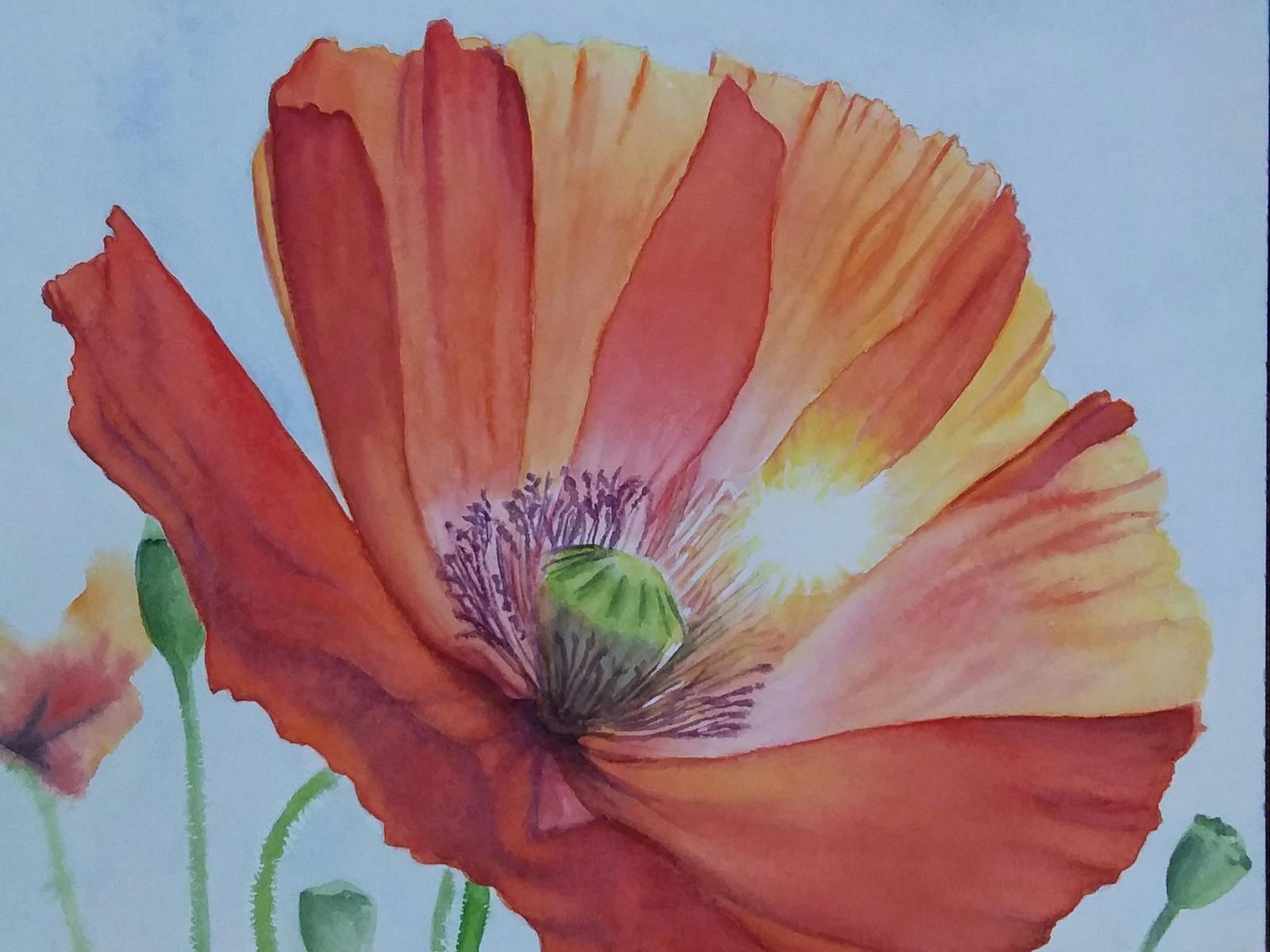 Image for Old SchoolHouse Gallery Art Exhibition "Commemorating ANZAC Day"