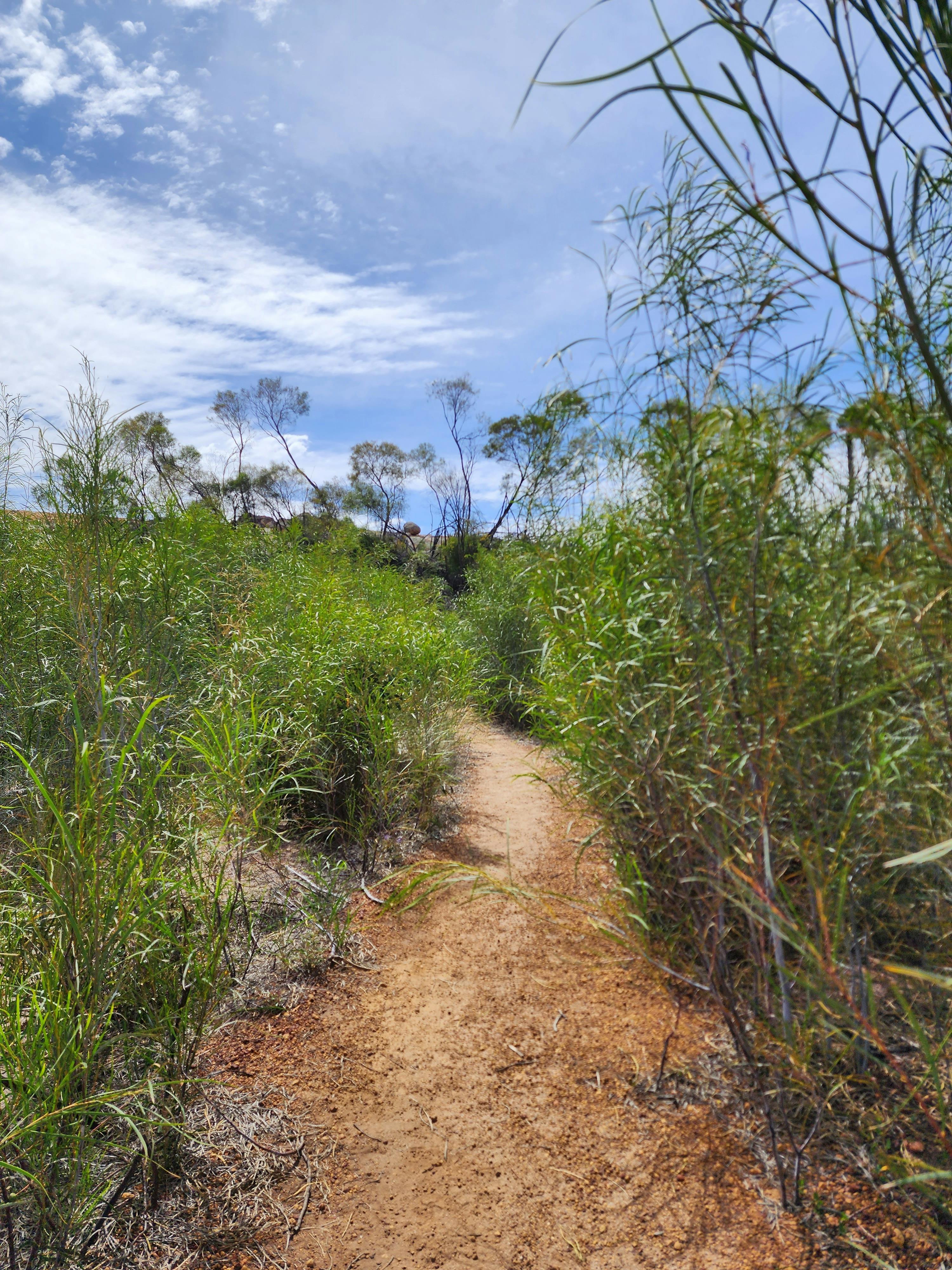 Burra Rock Conservation Park