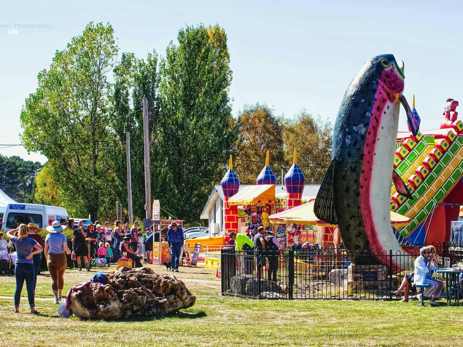 Image for Adaminaby Easter Fair