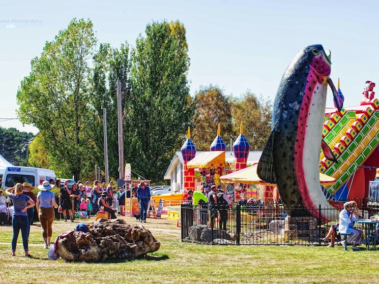 Adaminaby Big Trout Easter Fair