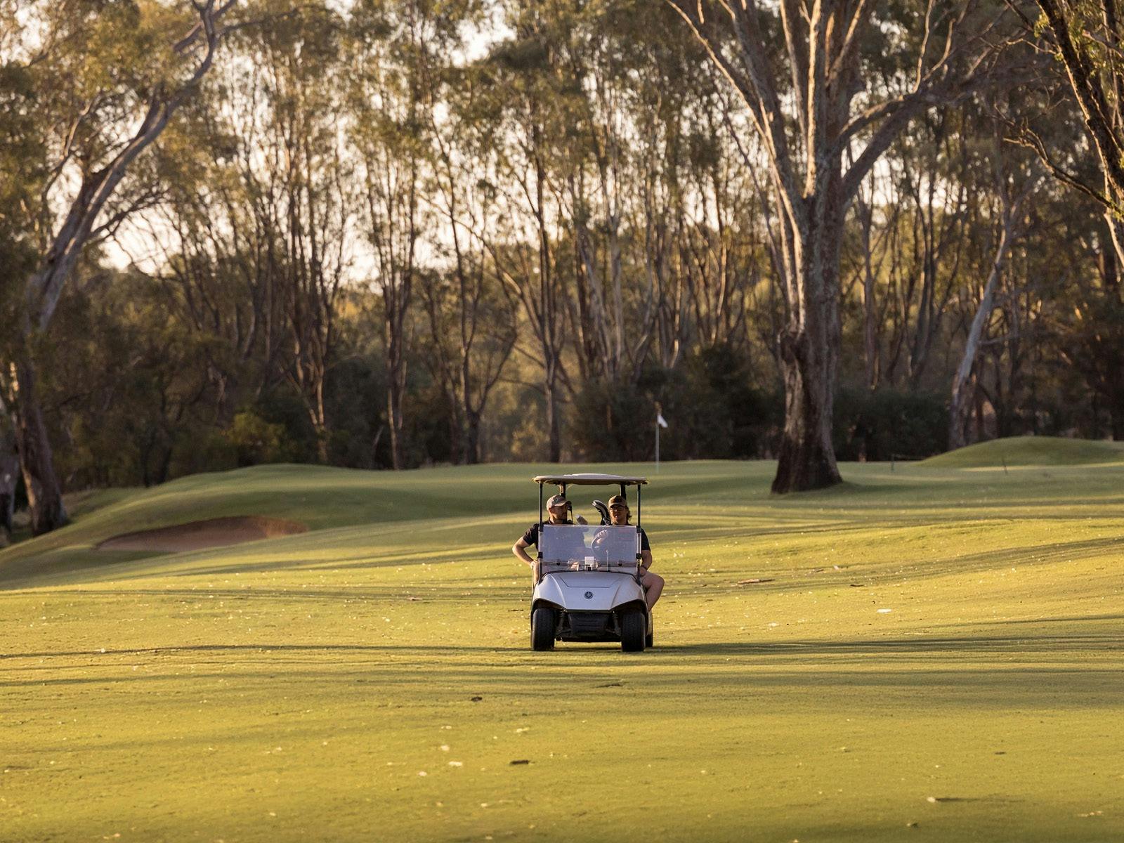 골프카트 대여 가능