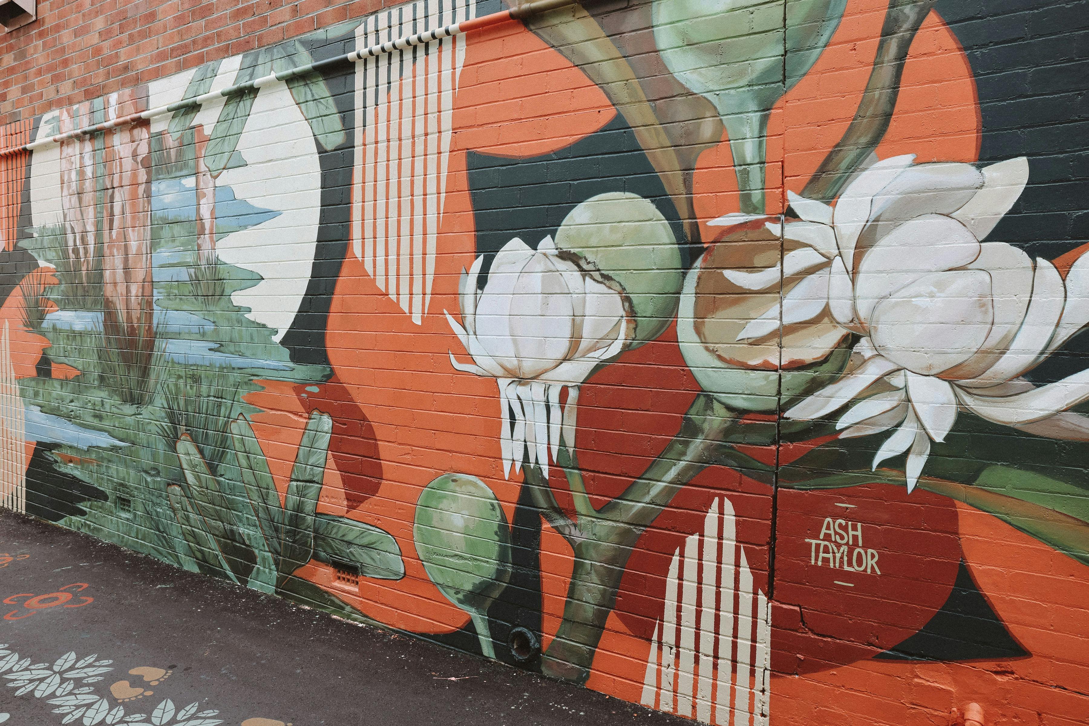 Visit the Macleay Valley Coast Art Trail Kempsey Ash Taylor Mural Regional NSW