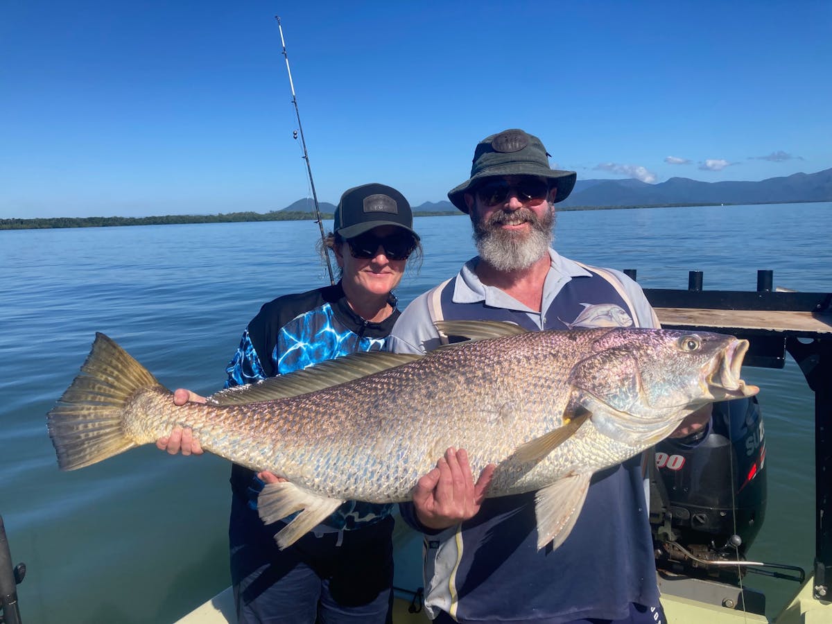 1.3m Jewfish