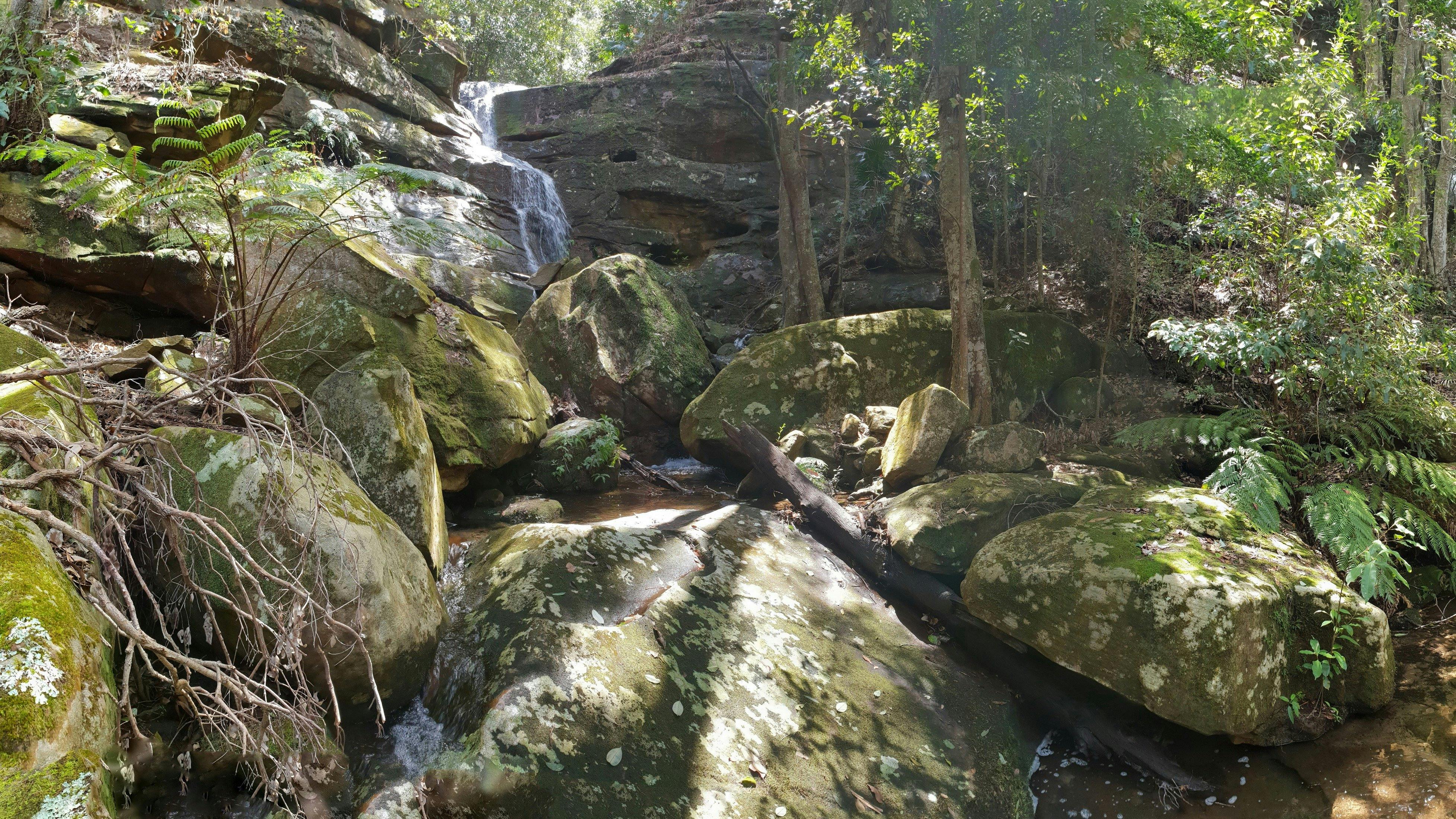 ブラウンズベイ