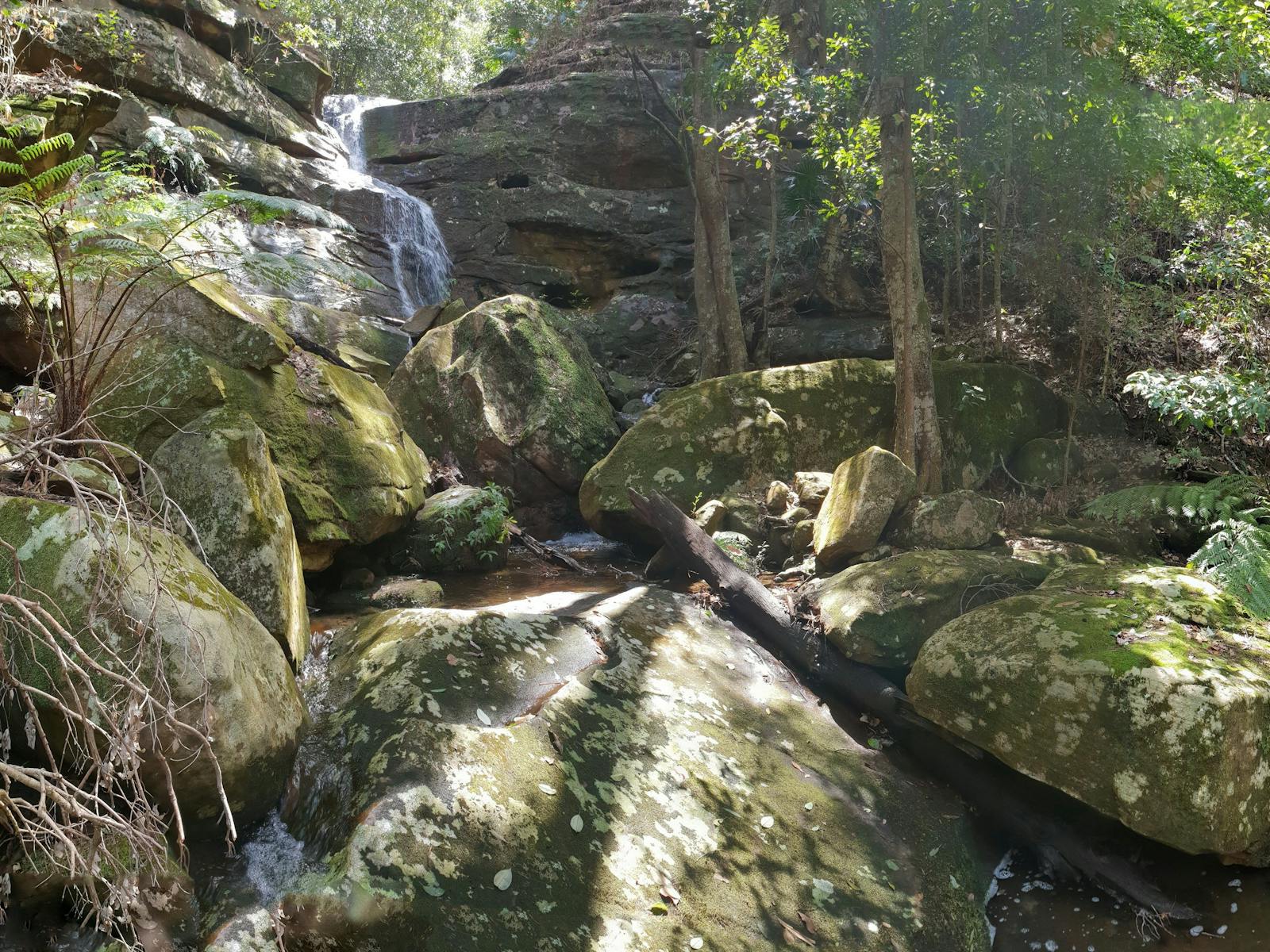 ブラウンズベイ