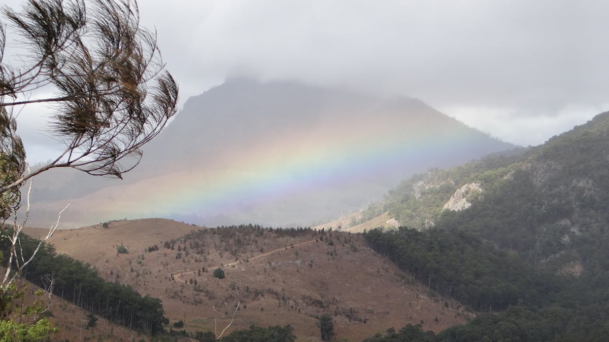 Scenic Rim Trail Running Series Rd 4