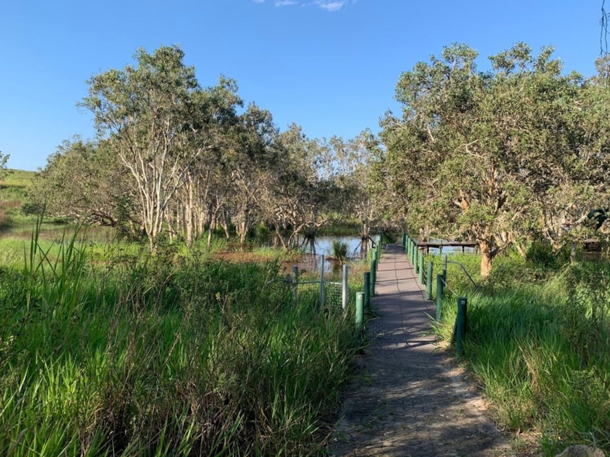 Abattoir Swamp and walkway.