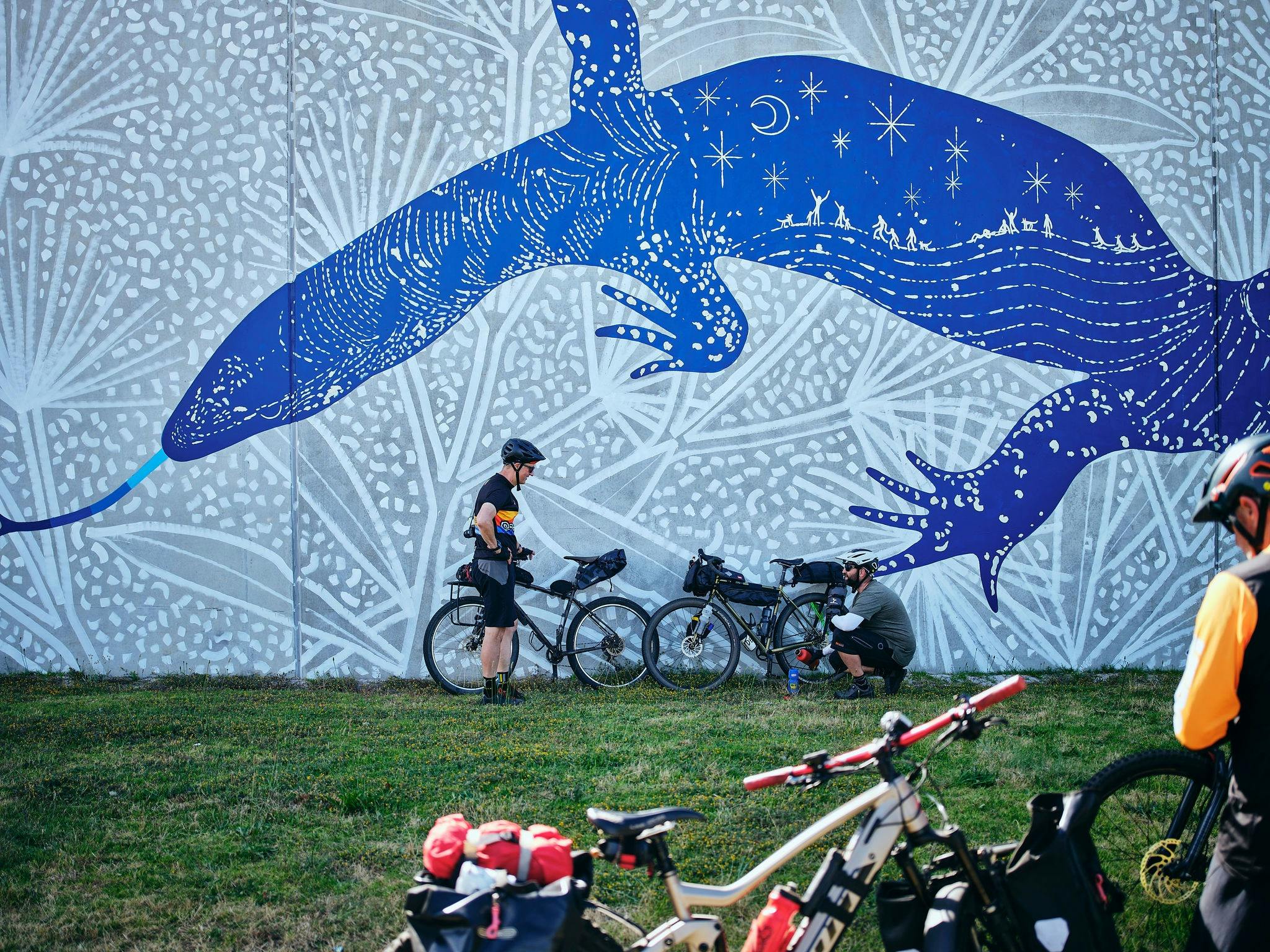 Karda Gonna on the Collie Mural Trail Tour