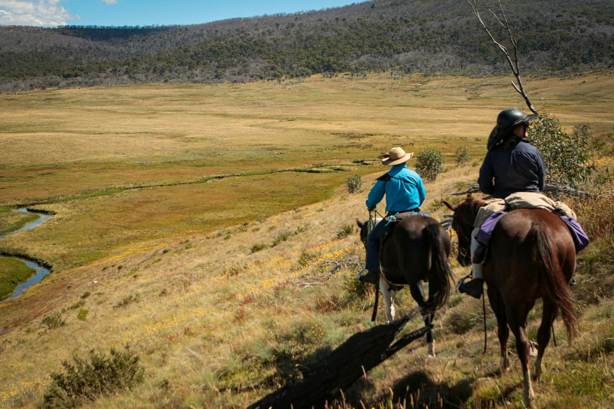 Two horse riders riding along the edge of a plain