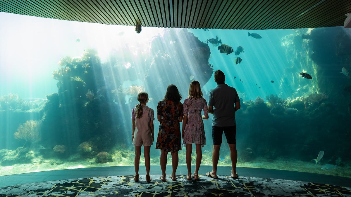 Family at underwater observatory beneath the Living Reef.