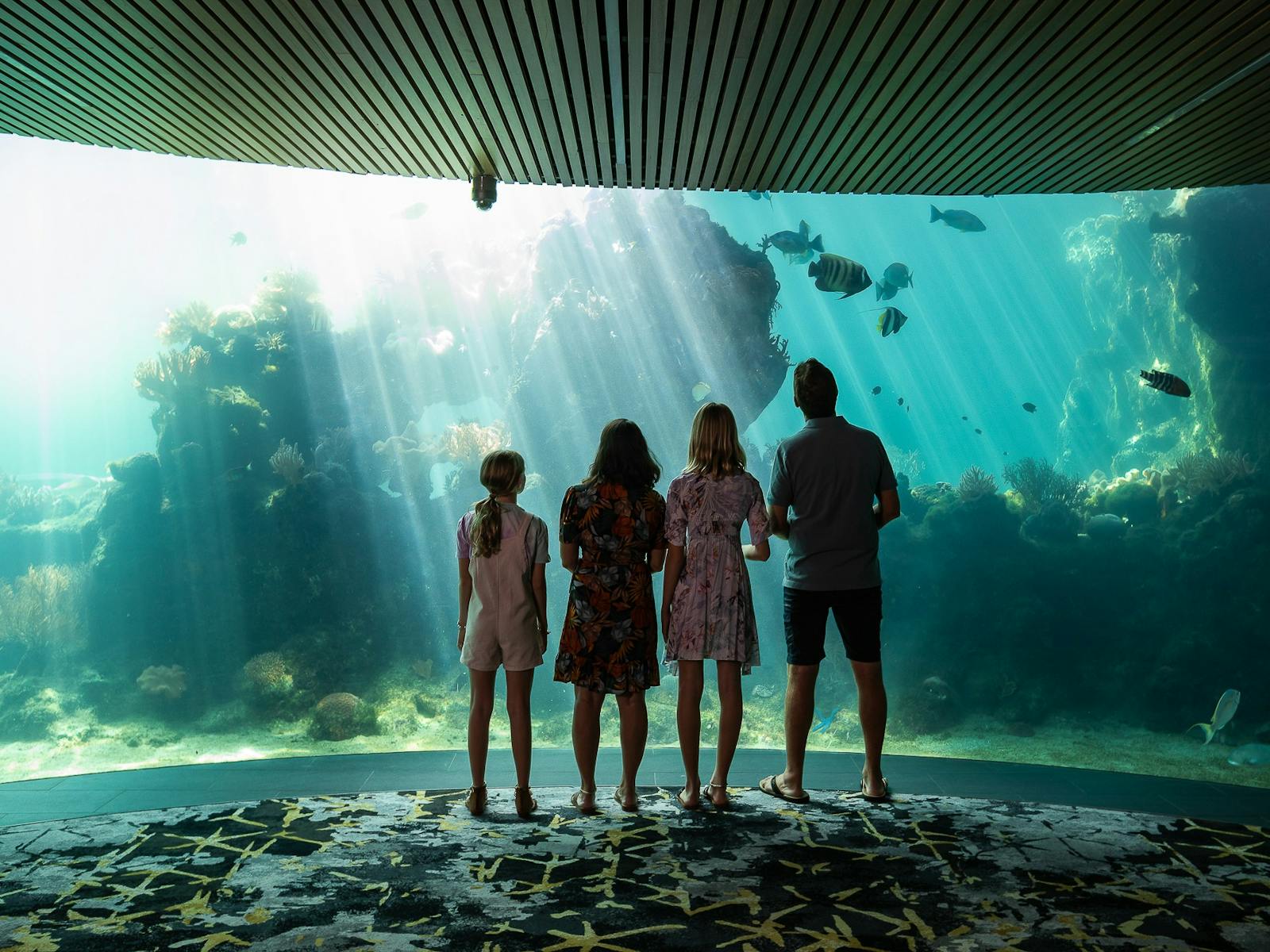 Family at underwater observatory beneath the Living Reef. Family at underwater observatory beneath the Living Reef.