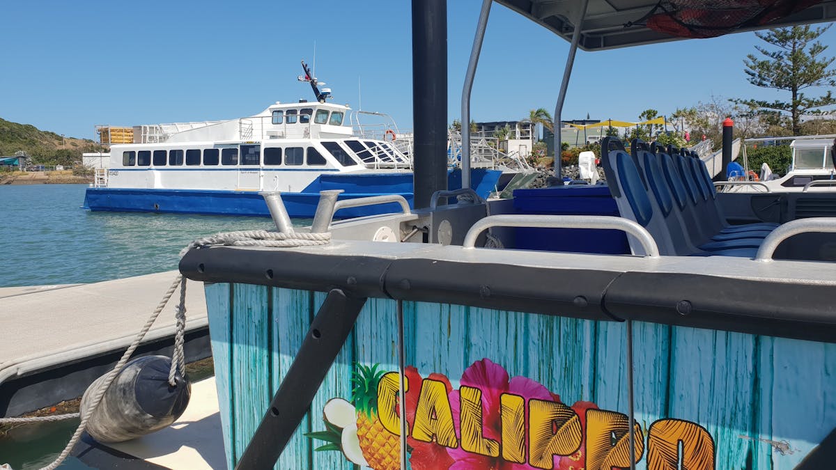 Both vessels