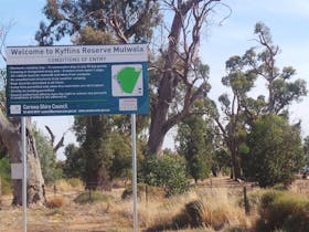 Kyffins Reserve Mulwala