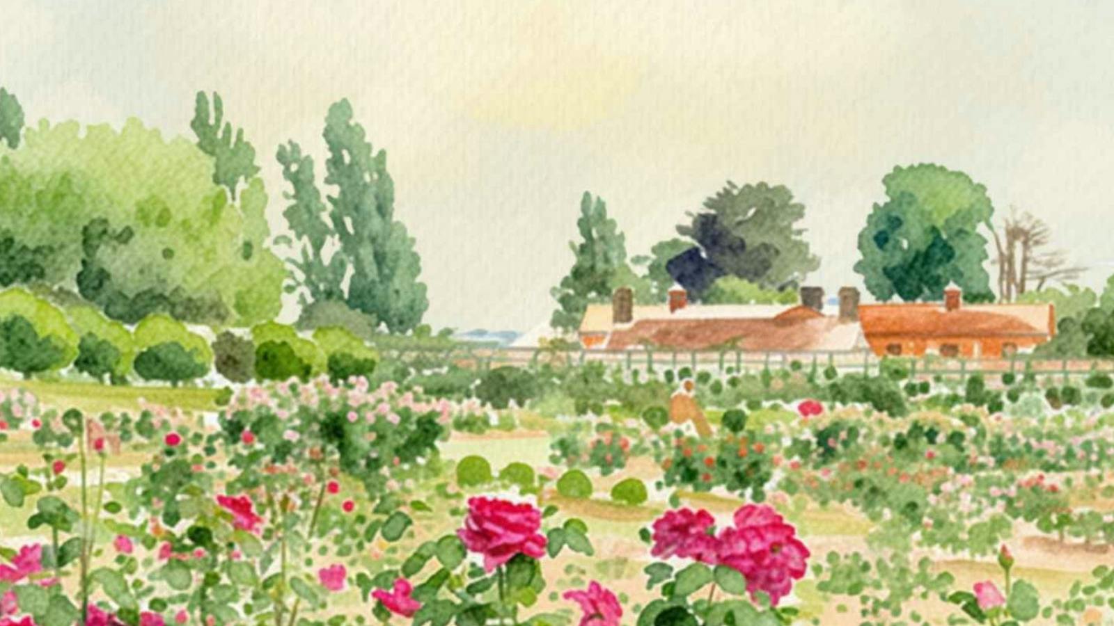 Festival of Roses at Woolmers Estate 2026