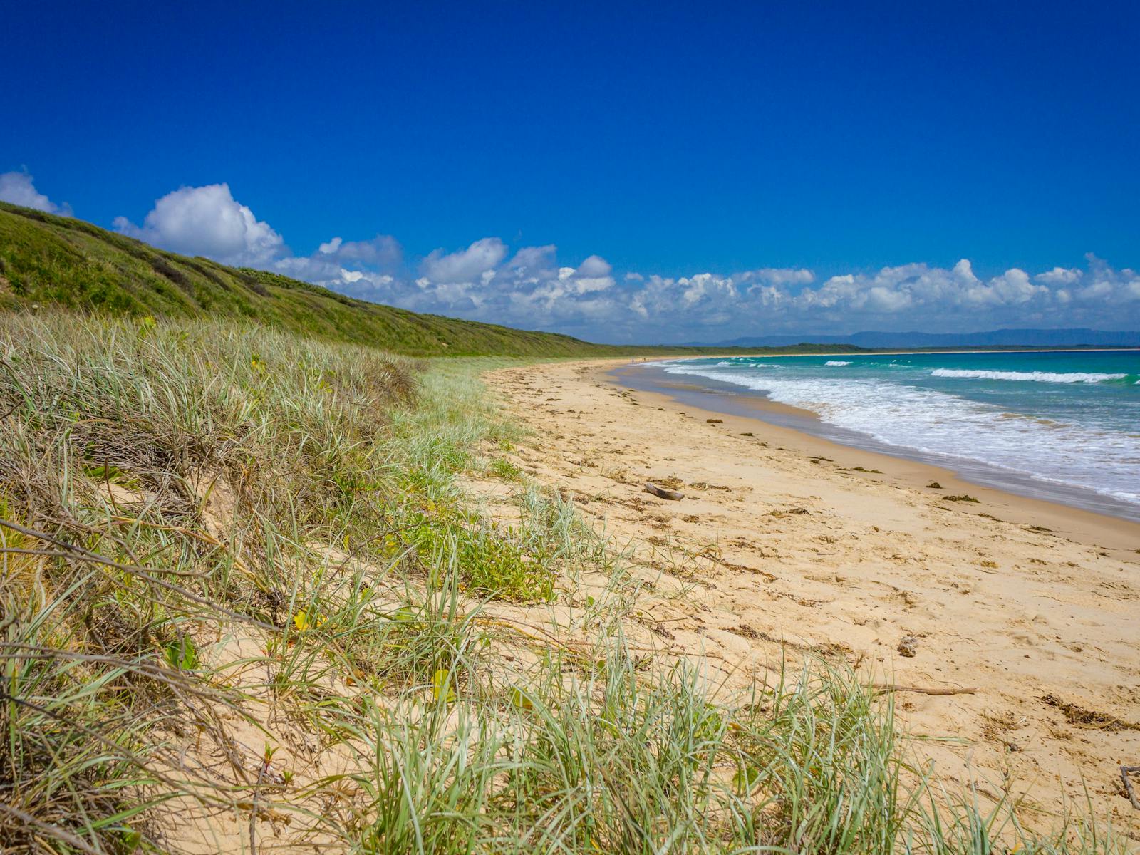 Currarong-Strand