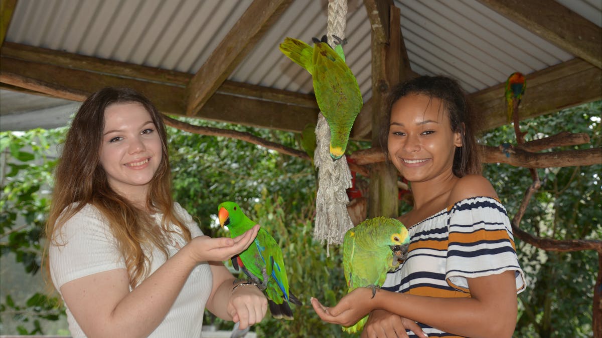 Get up close at Birdworld Kuranda