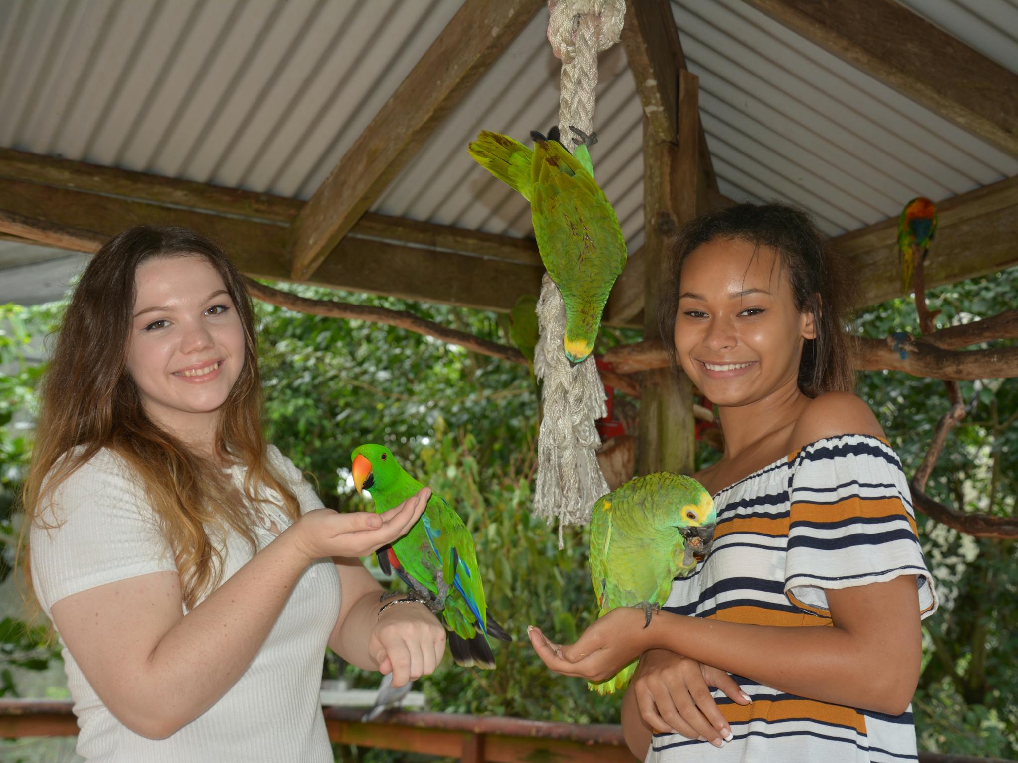 Get up close at Birdworld Kuranda Get up close at Birdworld Kuranda