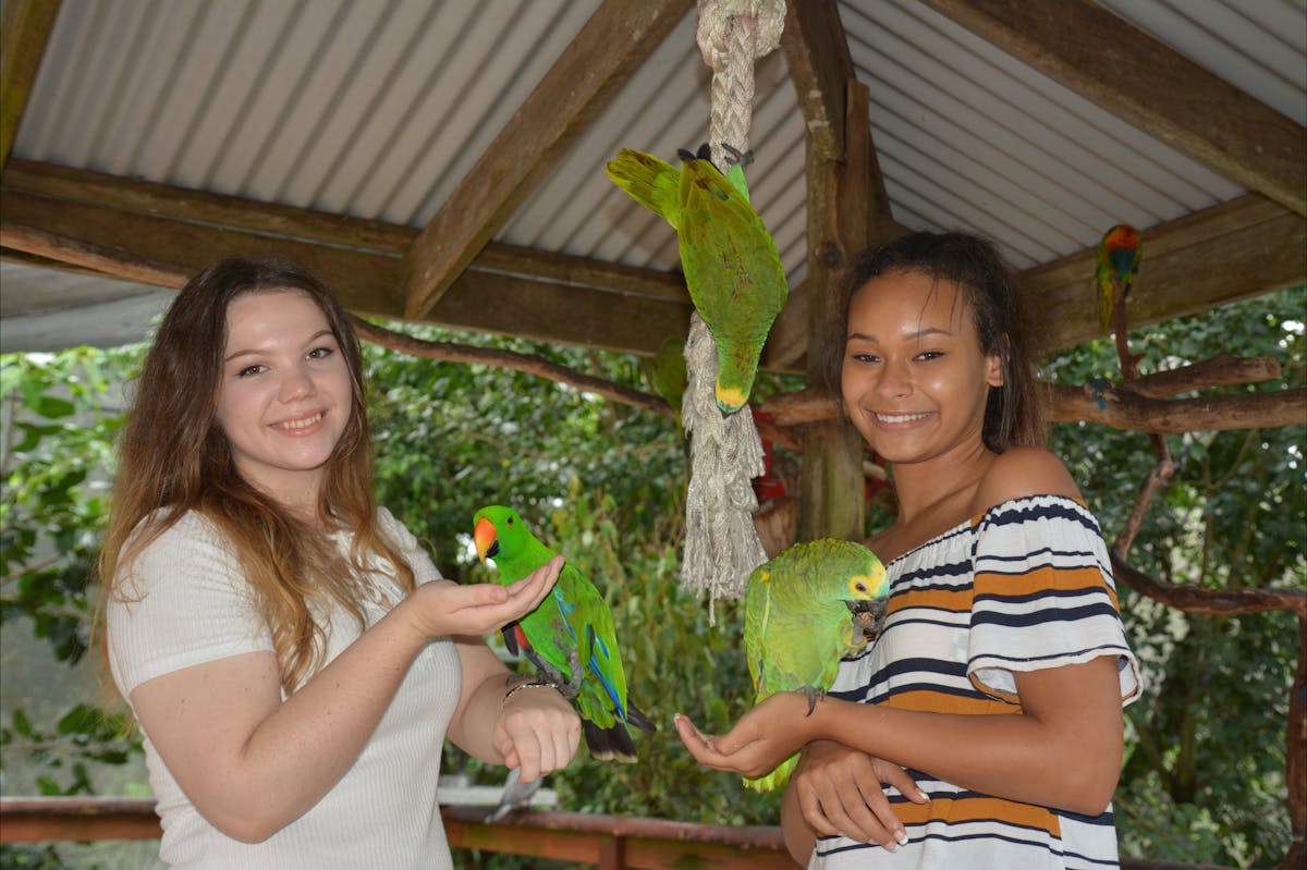 Get up close at Birdworld Kuranda