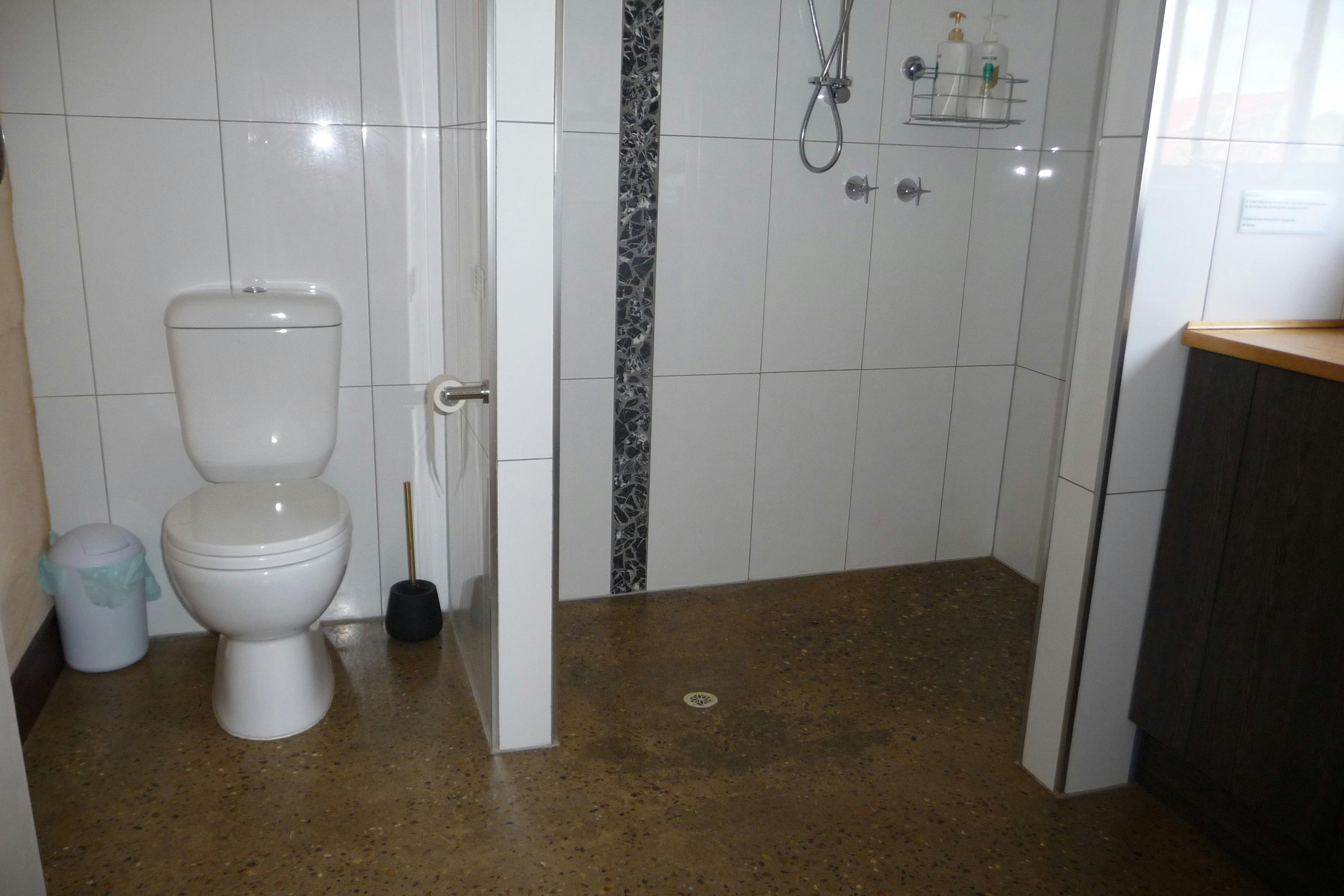 Walkin shower and toilet.