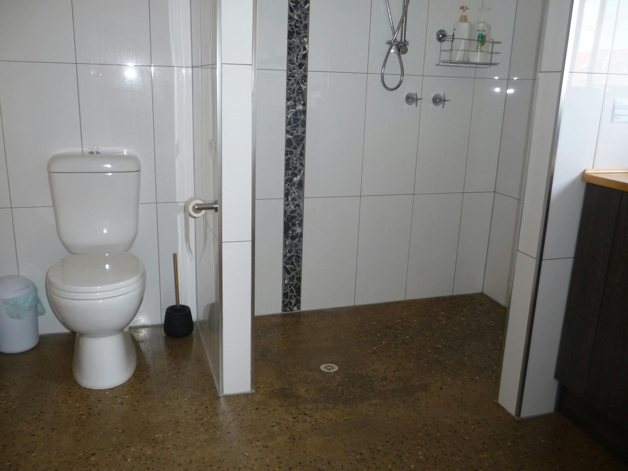 Walkin shower and toilet.