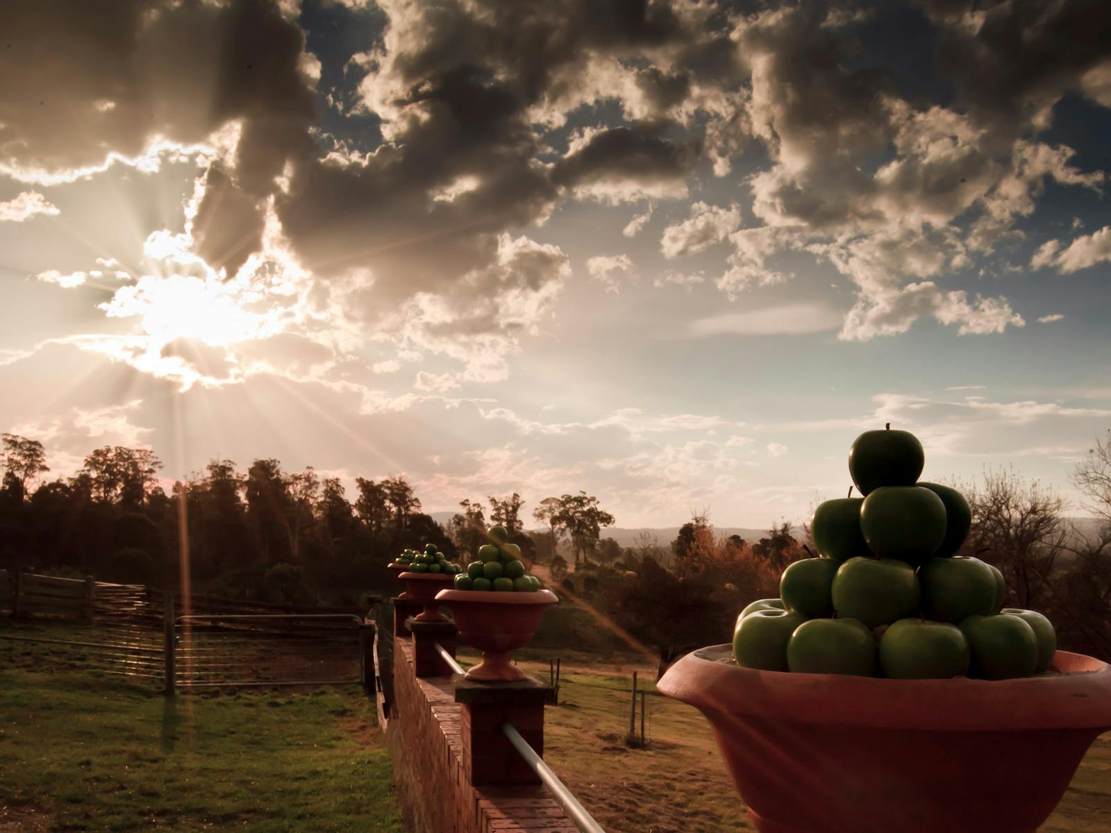 Apples on the Barnyard Fence