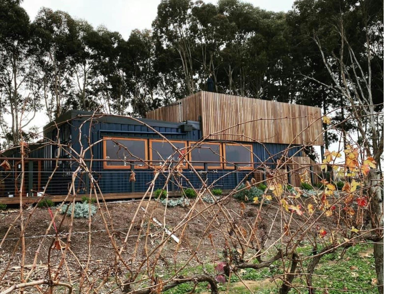 an image of winter vines looking through to the cellar door