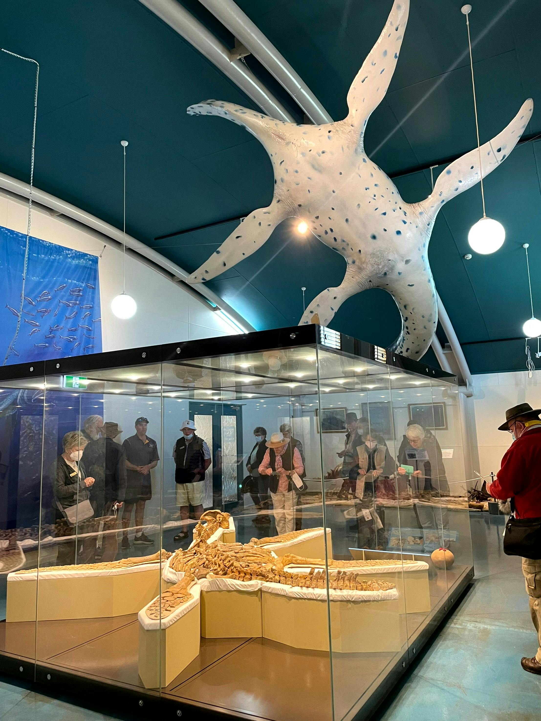 Kronosaurus Korner Richmond