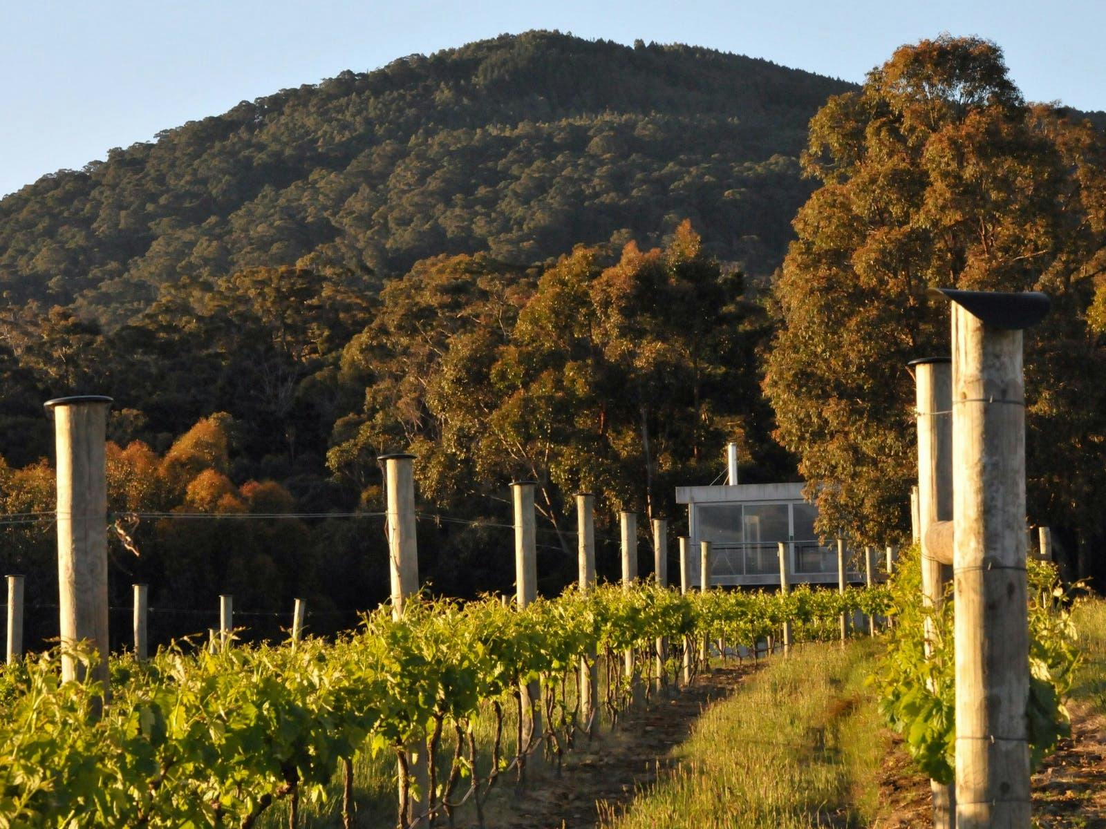 macedon