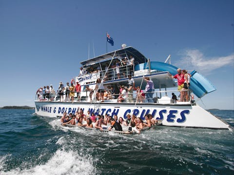 2 hour Splash and Slide Dolphin Cruise