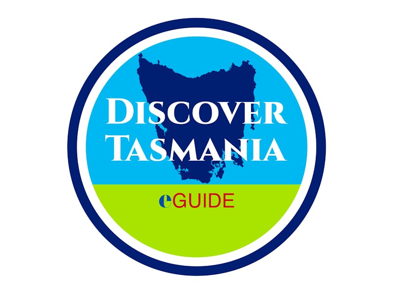 Logo Img