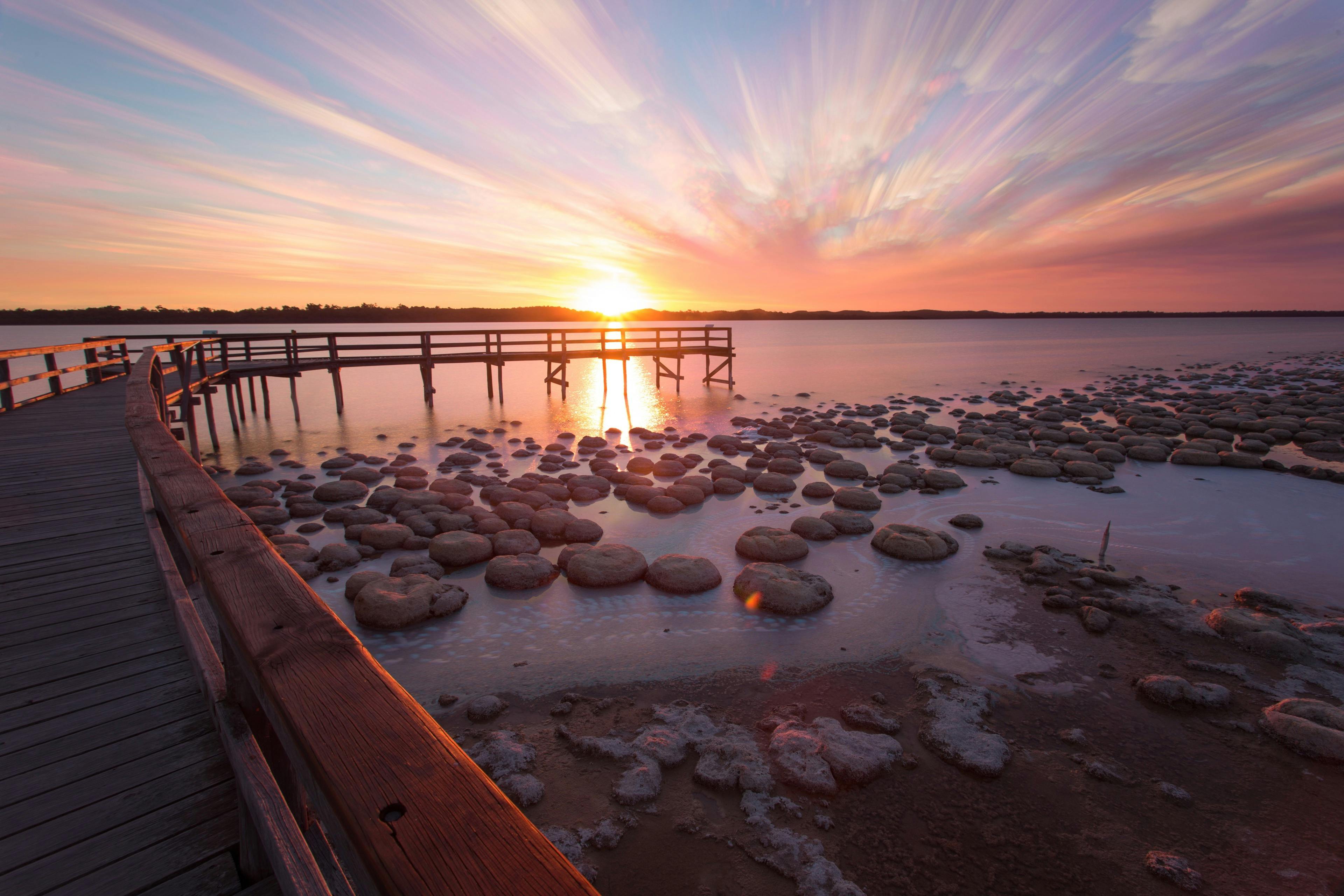 Lake Clifton Thrombolites