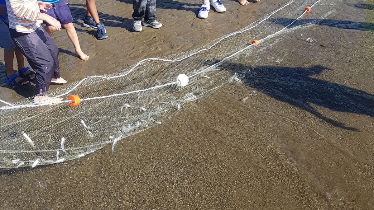 Kids waiting to touch/pat blue spot ray