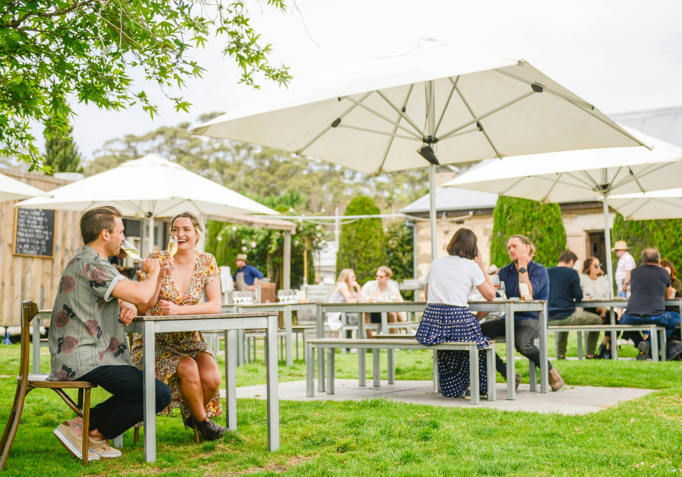 wine tasting on the lawn